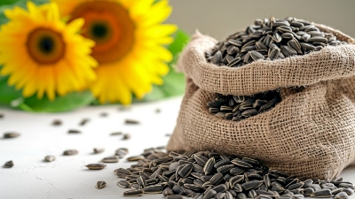 Picture of Sunflower Seeds 150 gm ( For Eat)