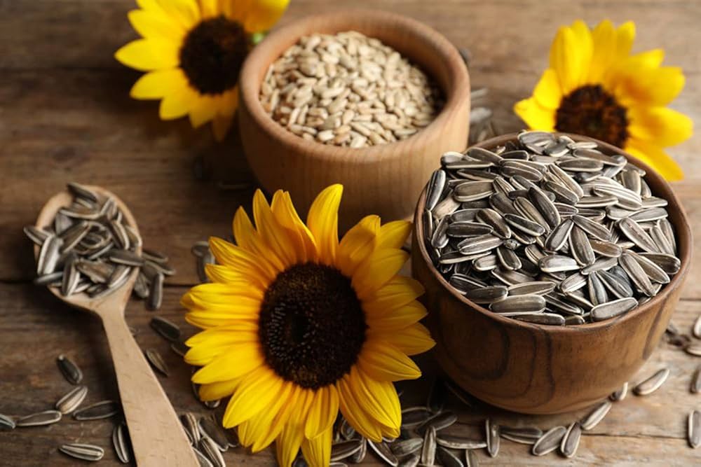 Picture of Sunflower Seeds 150 gm ( For Eat)