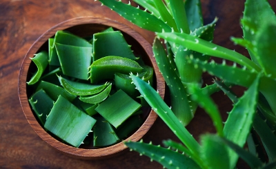 Picture of Aloevera Powder-200gm- Aloe Vera Gura / Aloe Vera Powder