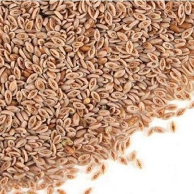 Picture of Isobgul 150 gm/isubgul dana