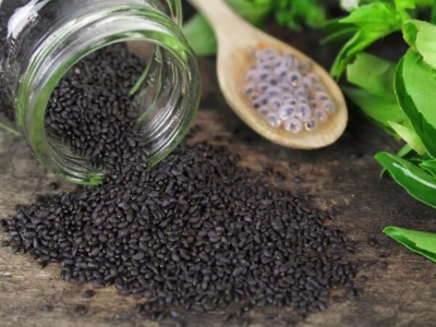 Picture of Tokma Dana / Basil seed - 150gm