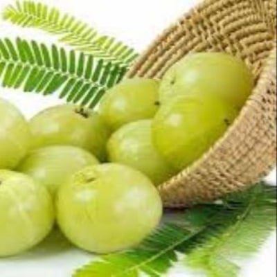 Picture of Amloki Powder (Emblic Gura) -100Gm (Seed Les)-Amalki Powder/Amalki Powder