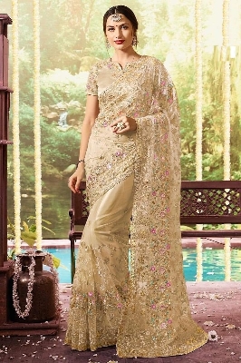 Picture of Indian Georgette Embroidered Saree – Champagne Gold-12 Haat