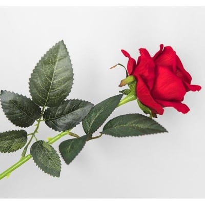 Picture of Real Touch Artificial Rose For wedding festivals Lovers - Home Decoration Item (Multicolor)