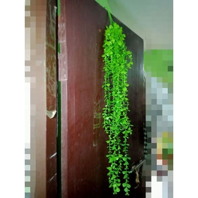 Picture of Artificial Leaf Faux Ivy Expandable/Stretchable Privacy Fence Screen Home Office Garden Wall Decoration adjustable (Deep green)