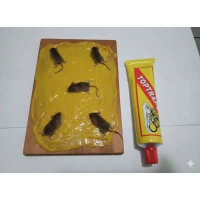 Picture of Rat Killing Glue China Mouse Non Poisonous Killing Glue 135gm Trap easy catch Insect Lizard Pest Sticky Mouse Trap for Restaurant Kitchen Hotel Office House (Yellow)