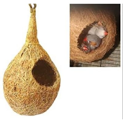 Picture of Cotton Bird Nest Showpiece Home office decore - Furniture & Decor - Unrivaled in Genre- Delights 