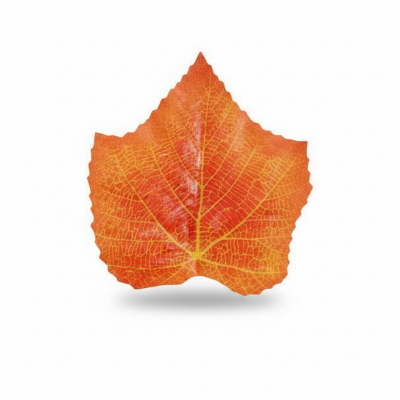 Picture of 20 Pcs Artificial Cloth Maple Leaves Multicolor Autumn Fall Leaf for Art Scrapbooking Wedding Bedroom Wall Party Decor Craft (Orange)