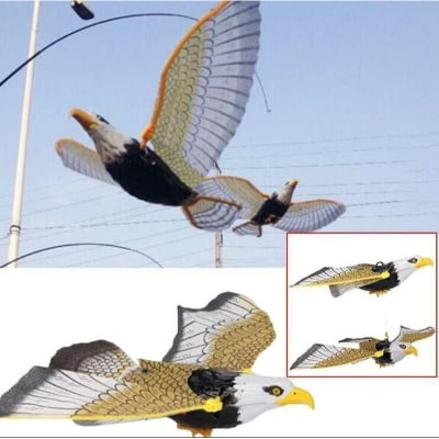 Picture of Electric suspension 360 Flying with sound simulation Like Real Fly Eagle (Multicolor)