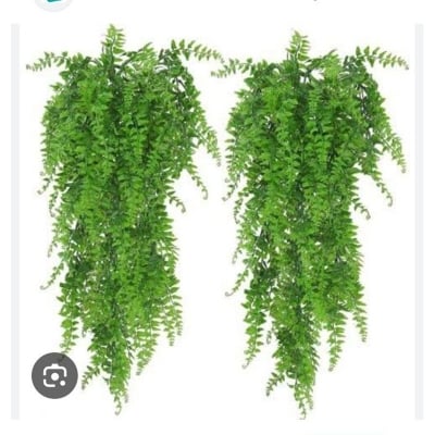 Picture of 1Branch Artificial Plants Boston Ferns Fake Vines Hanging Ivy Decor Plastic Greenery for Wall Indoor Outdoor Hanging Baskets (Green)