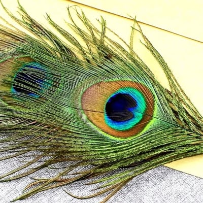 Picture of Peacock Feather Quill Ballpoint Pen 1 Pack Wedding Gifts Stationery School Office (Black)