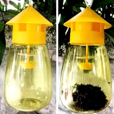 Picture of Fly Trap Killer 1 Pcs Plastic Drosophila Trap Anti Fly Fruit Fly Killer Catcher Orchard Insect Trap Pest Control Products (CLEAR)