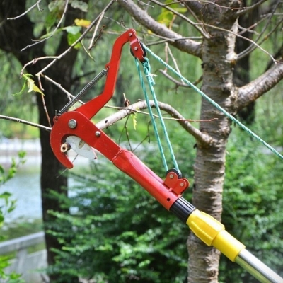 Picture of Extendable Tree Pruner 11.81 Inch High Branch Scissors Gardening Trimmer Heavy Duty Tree Pruning Shear for Landscaping and Shrub Cutting Fruit Picker Harvester, Gardening Tool (Multicolor)
