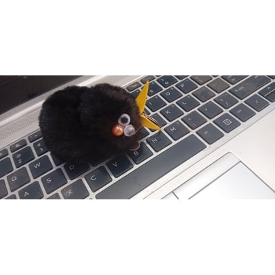 Picture of Cute Plush Fluffy Pom-Pom Keychain, Cartoon Monster Doll for Kids Girls Women, Korean Plush Bag Backpack Pendant Gift, Car Bike Keychain (1-Pieces (Black)