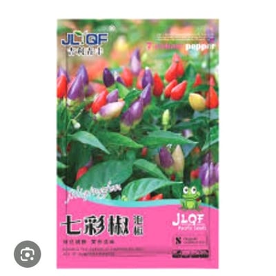 Picture of Ornamental Chilli Pepper Seeds, Mixed Colours - Purple, Red, Yellow, Indoor/Outdoor Plant (Multicolor)