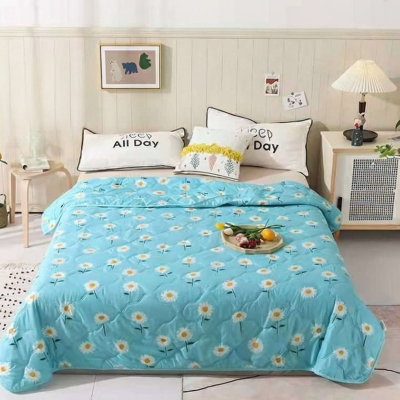 Picture of Soft & Premium Quality Chinese Comforter For Mild Winter And AC Room (Lake Blue,Full)