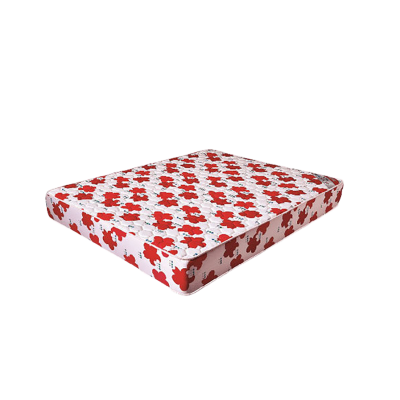 Picture of Doctor Recommended Noman Orthopedic Mattress For Alleviate Stress On The Spine And Reduce Back Pain (Multicolor,Twin)