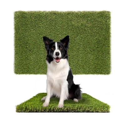Picture of Dog Grass Pads 1.5 x 2 FT Artificial Grass Pee Pads for Dogs Cat Potty Fake Grass Rug Turf Mat for Cat Dogs Training Indoor Outdoor Garden Lawn Artificial Grass Rug dog mat dog pad cat pad 1 kg 