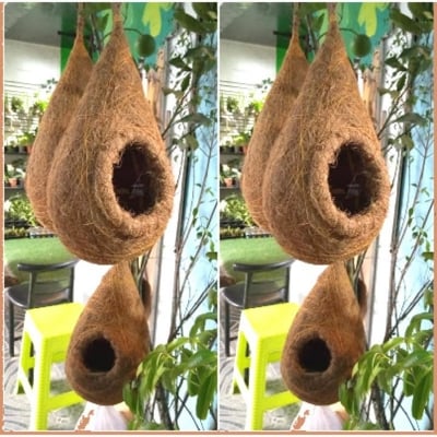 Picture of Handmade organic bird nest -1 PCS Babui Pakhir Basha Bird Nest Showpiece Home office decore - Furniture & Decor - Unrivaled in Genre- Delights  