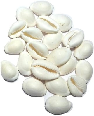 Picture of Kori / cori - 2 pcs(White)