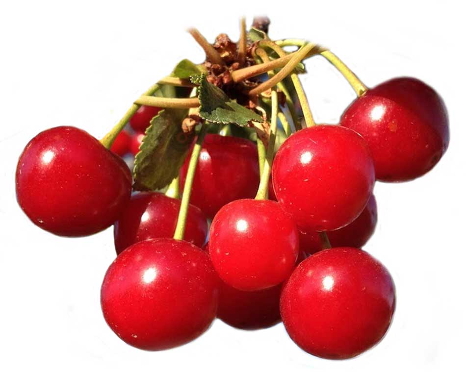 Picture of Red Cherry Fruit (Cherry Foll) - 100gm