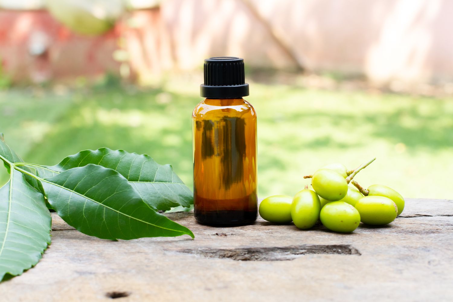 Picture of Neem Oil / Nim Tel-200 ml