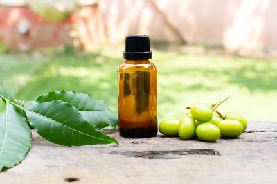 Picture of Neem Oil Nim Tel 50 Ml Natural Herbal Remedy for Skin And Hair Care Traditional Medicine from India