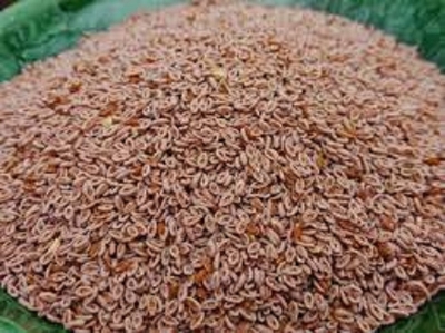 Picture of Isobgul 100 gm/isubgul dana