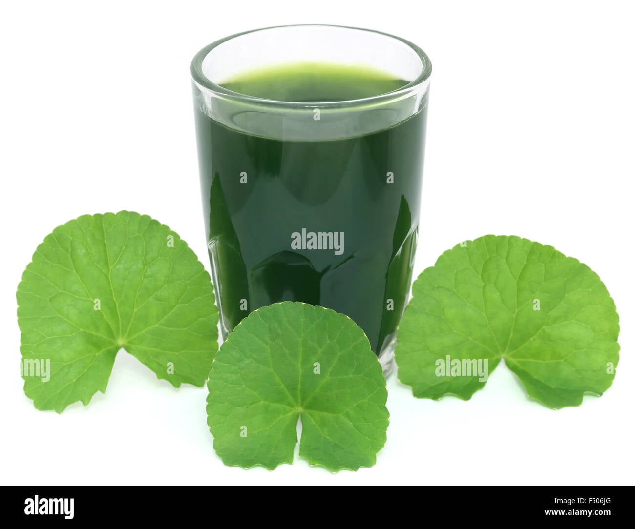 Picture of Centella Leaf Powder  - Thankuni Pata Gura-50 gm
