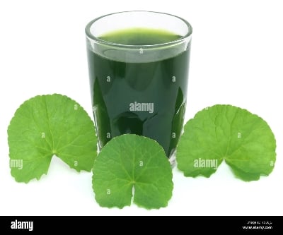 Picture of Centella Leaf Powder  - Thankuni Pata Gura-50 gm
