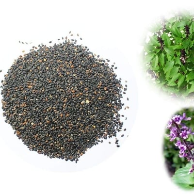 Picture of Tulshi Bij - Tulsi Bij / Tulsi Seed-  100 Gm