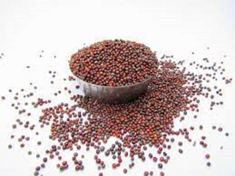 Picture of Mustard Seeds (Red) - 150 gm -Red Sorisa