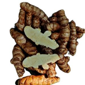 Picture of Wild Turmeric powder / Kasturi Holud gura  - 50 gm