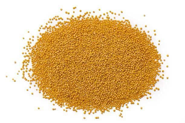 Picture of Mustard Seeds (Red + White) - (150+150)= 300 gm