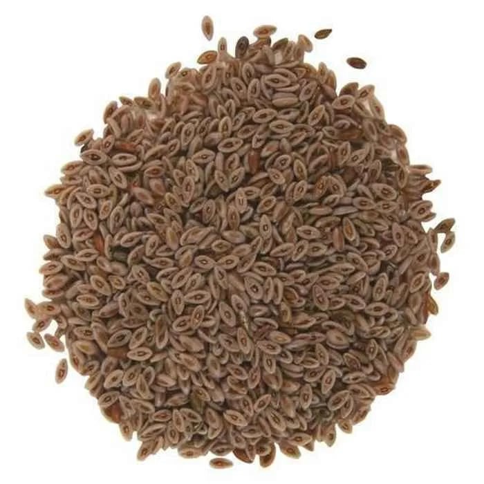 Picture of Blond Plantain-Yousufgul dana-150gm