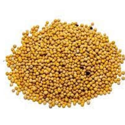 Picture of Mustard Seed ( White) - 150 gm / sorisa