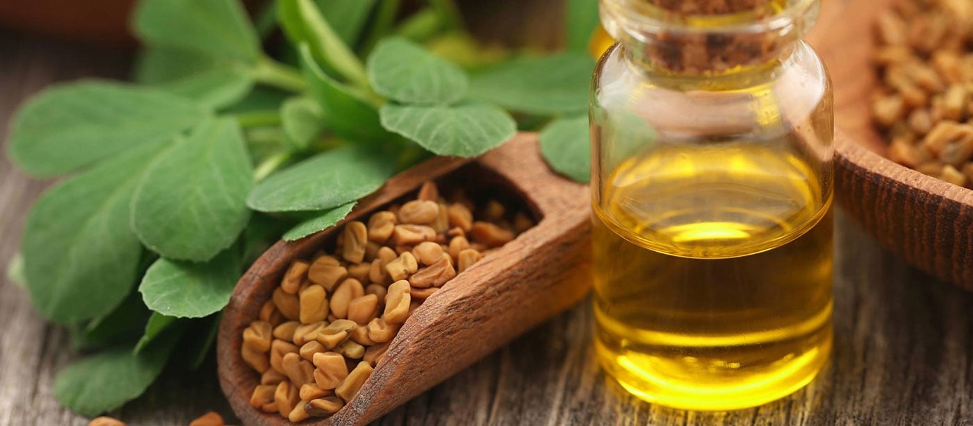 Picture of Fenugreek Oil/ Methi Tel- 200 ml(HAIR)