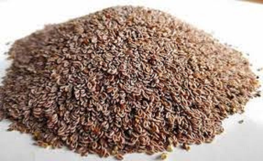 Picture of Isobgul 100 gm/isubgul dana