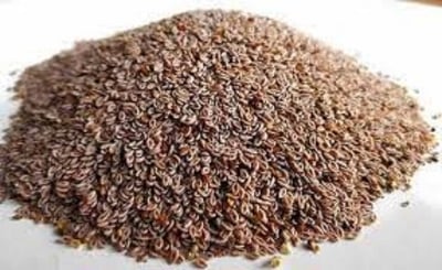 Picture of Isobgul 100 gm/isubgul dana