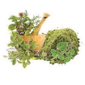 Picture of Holy Basil Powder 100gm Tulsi Pata Gura 100gm