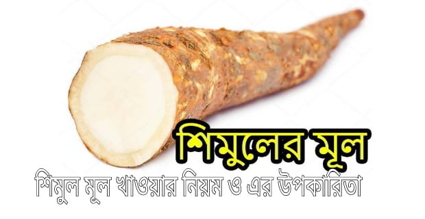 Picture of Shimul Powder - 100 gm/Shimul mul gura