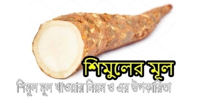Picture of Shimul Powder - 100 gm/Shimul mul gura