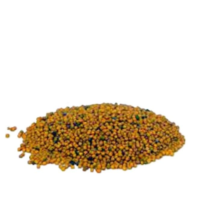 Picture of Mustard Seed ( White) - 150 gm / sorisa