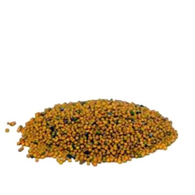Picture of Mustard Seed ( White) - 150 gm / sorisa