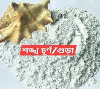 Picture of Conch Powder Shongkho Gura 50 Gm