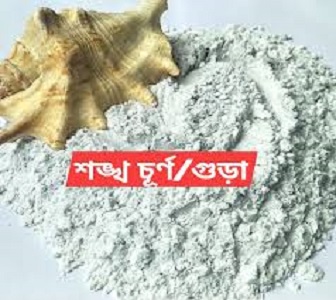Picture of Conch Powder / Shongkho Gura 100gm