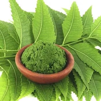 Picture of Neem pata Gura- Neem Powder (100 gm)