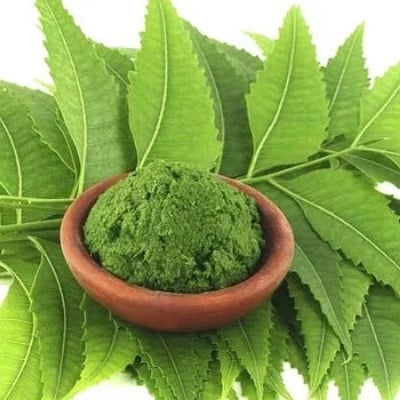Picture of Neem pata Gura- Neem Powder (100 gm)