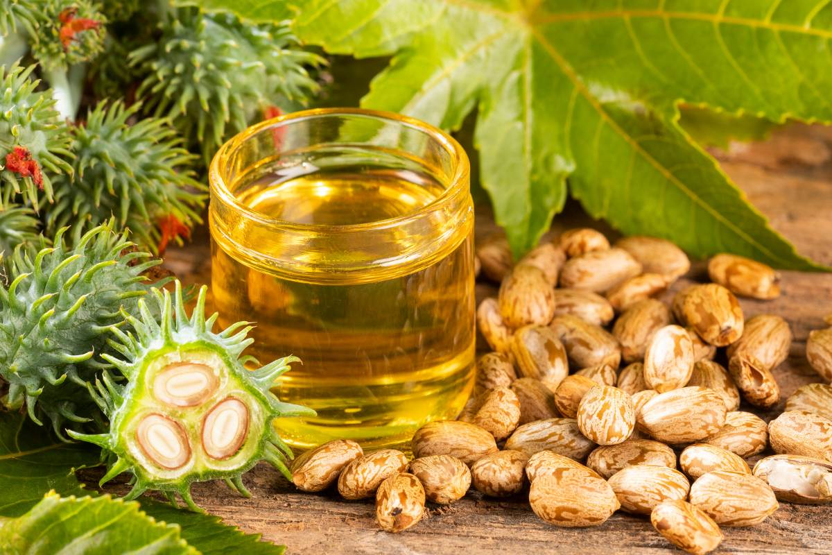 Picture of Castor Oil  Venna Tel- 200 ml(Hair)