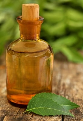 Picture of Neem Oil Nim Tel 50 Ml Natural Herbal Remedy for Skin And Hair Care Traditional Medicine from India